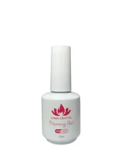 BLOOMING GEL EXMA CRISTAL