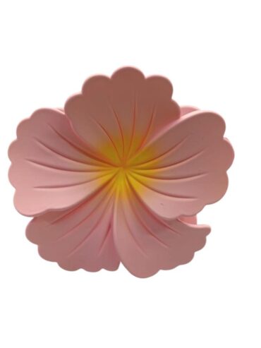 GANCHETA DE FLORES